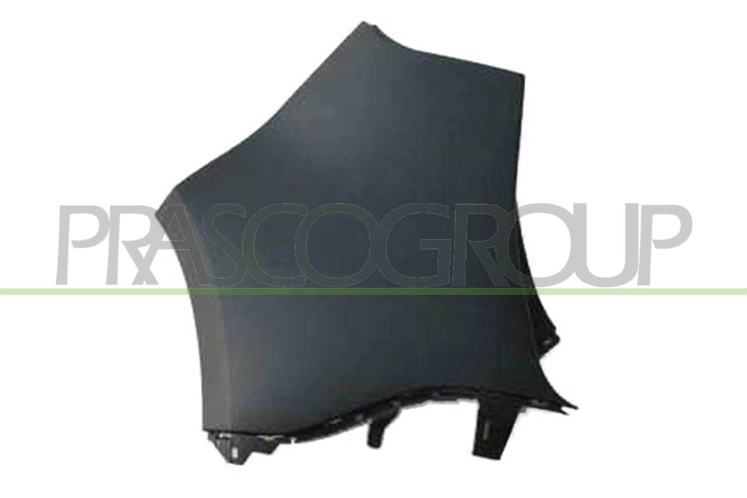 Prasco Stoßfänger Rn0361154 Hinten Links Für Renault