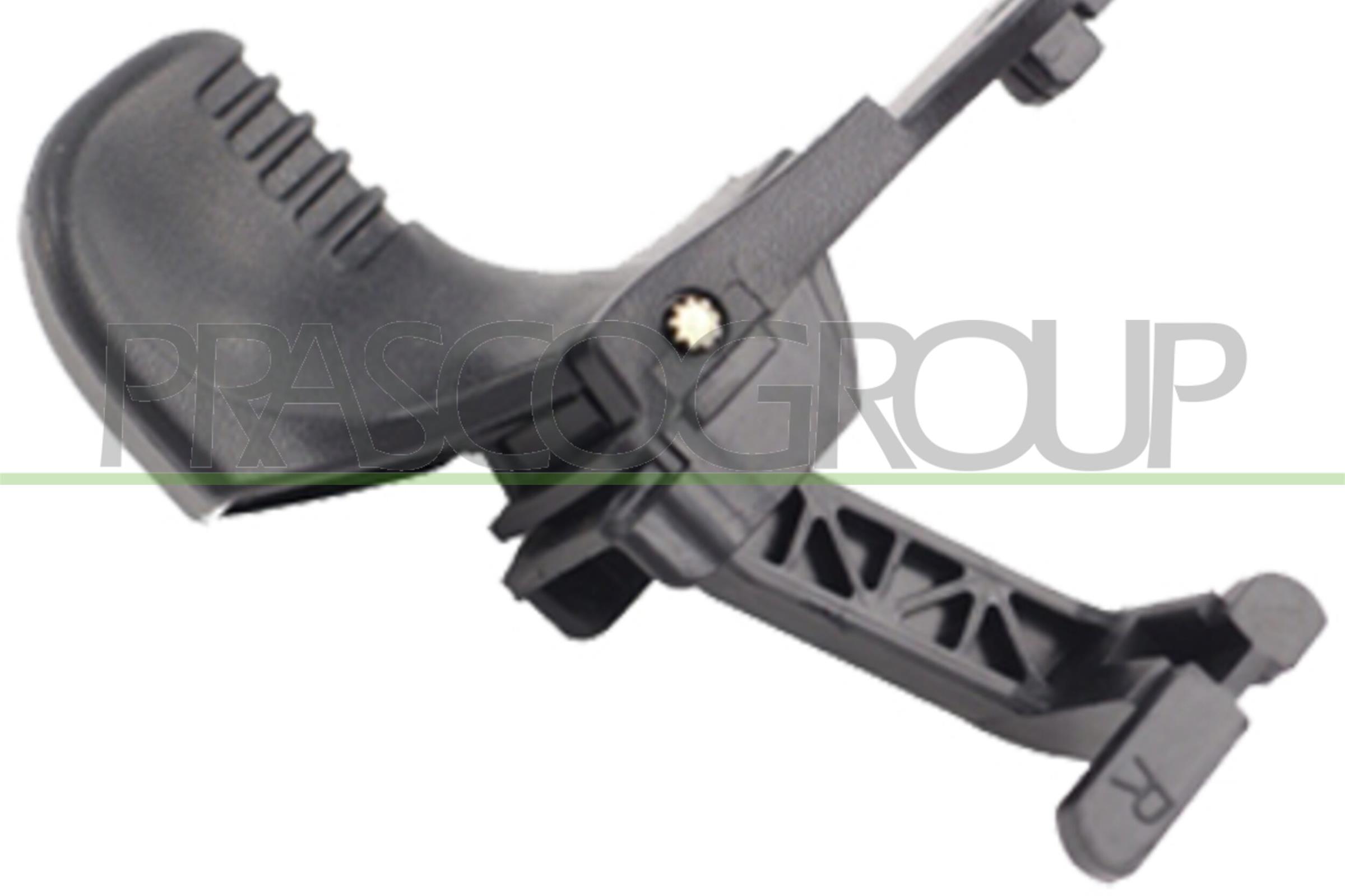 PRASCO Türgriff rn3048001 vorne rechts für RENAULT
