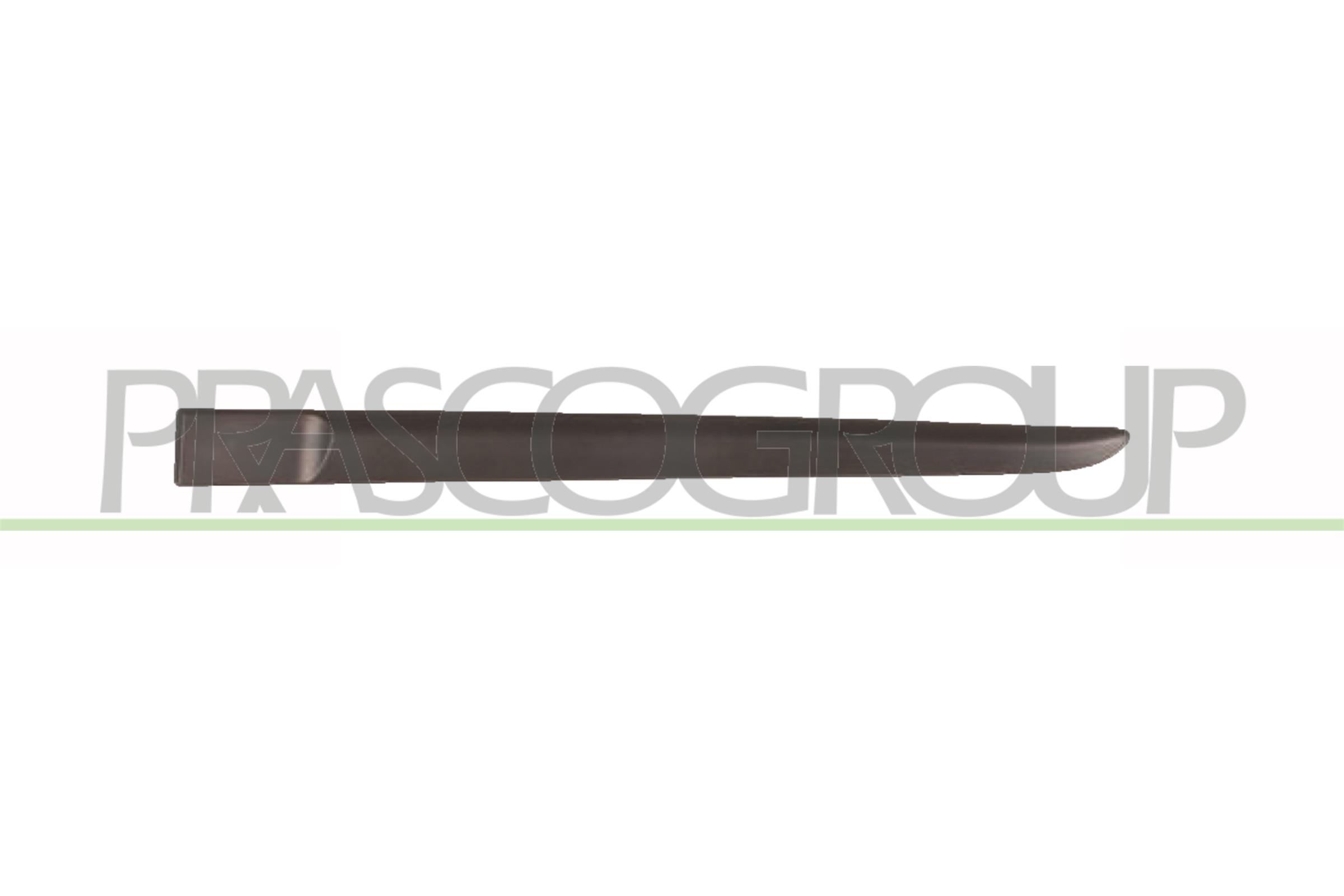 PRASCO Zier-/Schutzleiste, Tür rn3251454 hinten links für RENAULT