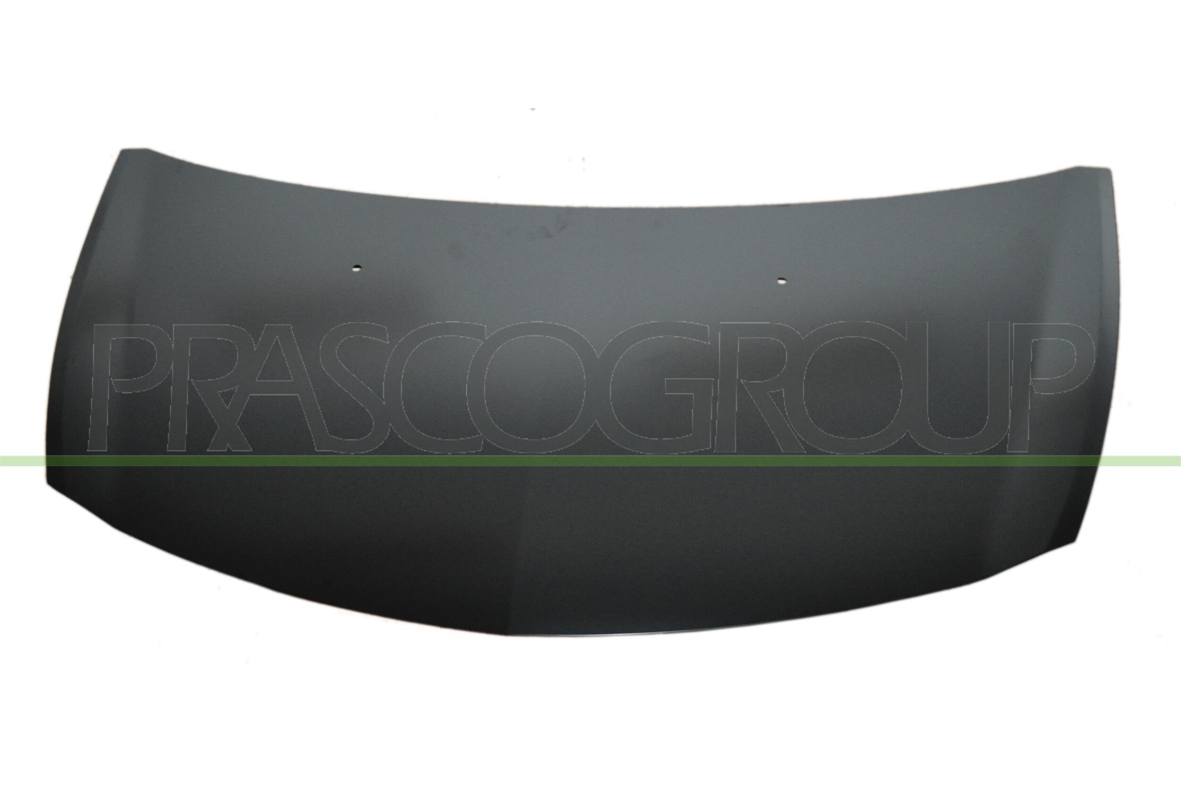 PRASCO Motorhaube rn3273100 für RENAULT