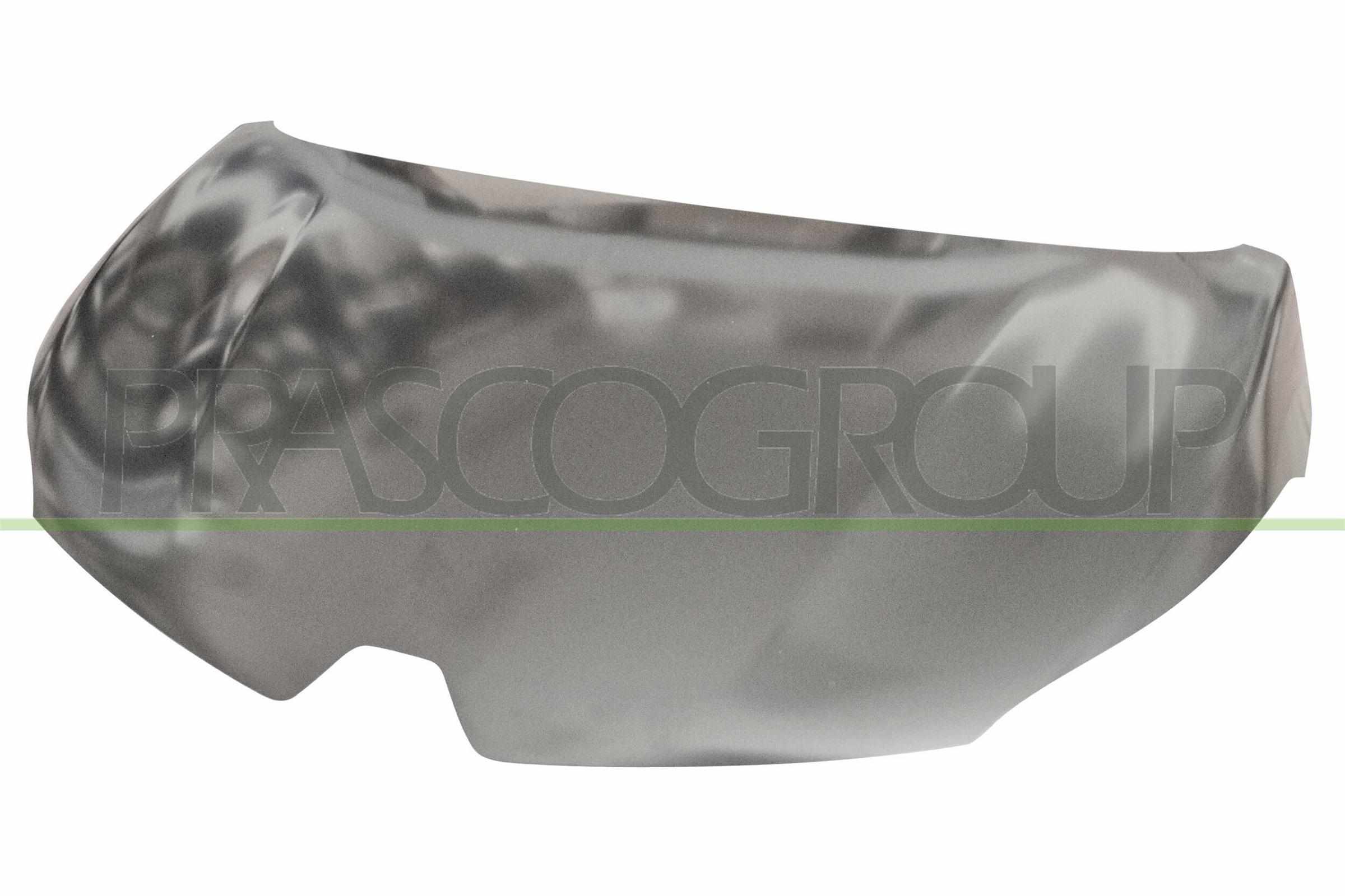 Prasco Motorhaube Rn7003100 Für Renault