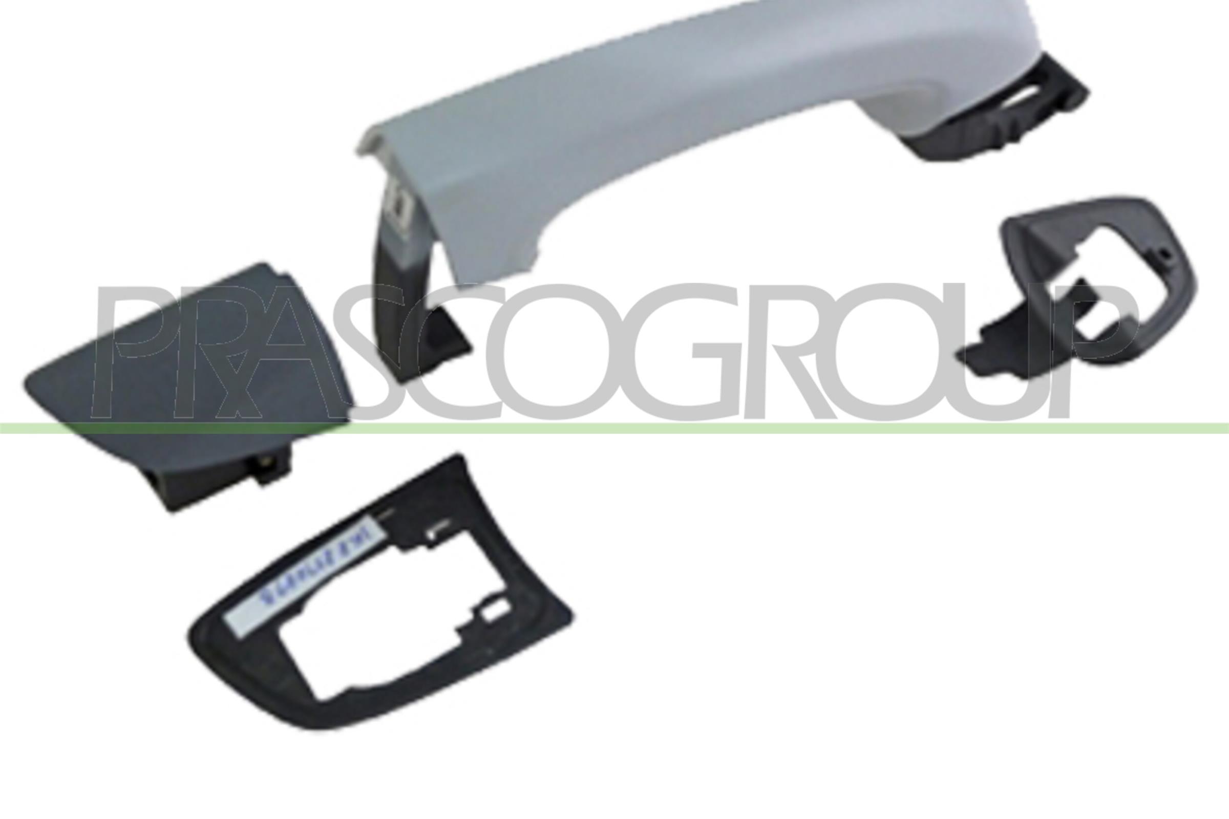PRASCO Türgriff vg1018103 hinten rechts für VW