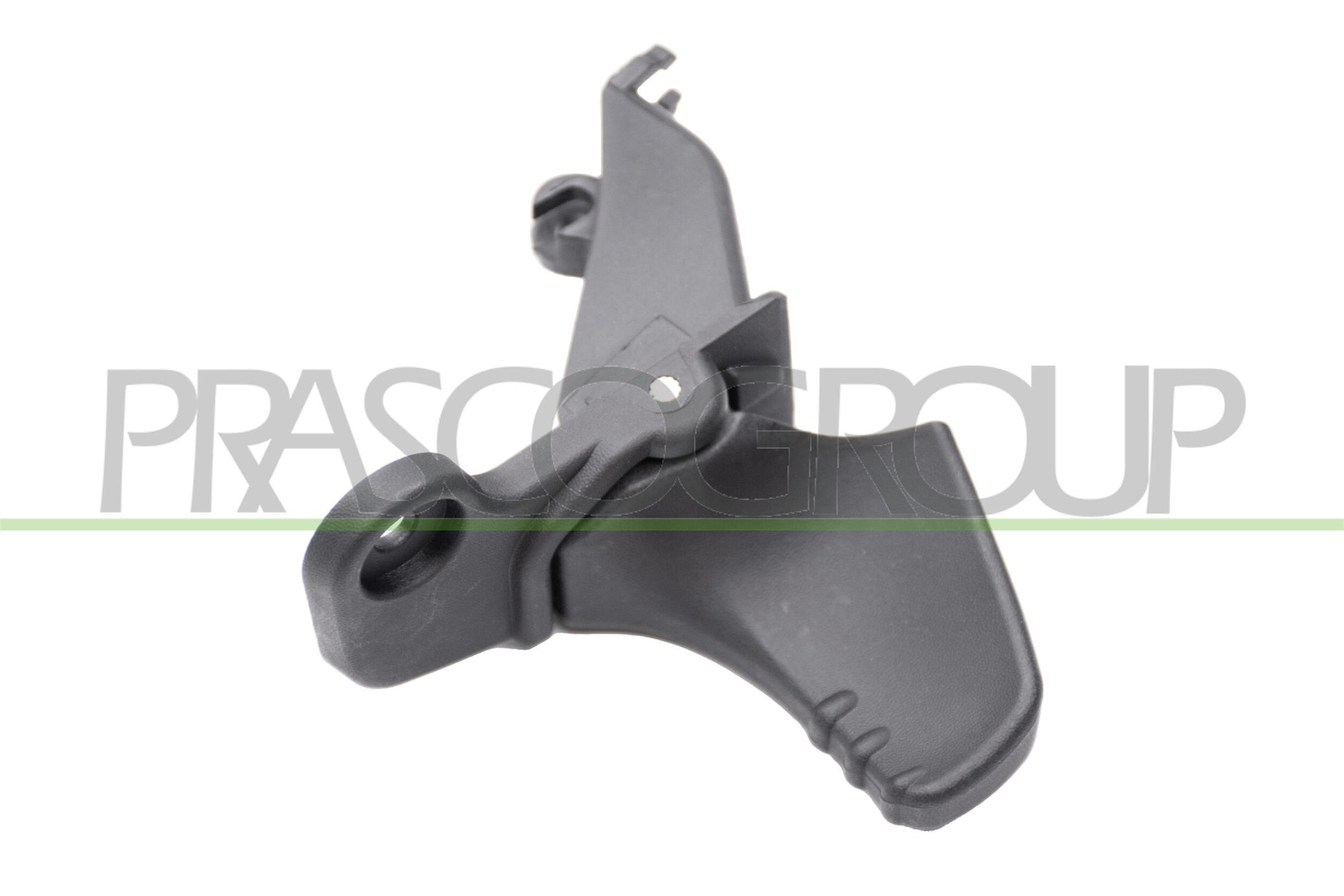 PRASCO Türgriff rn3068002 vorne links für RENAULT