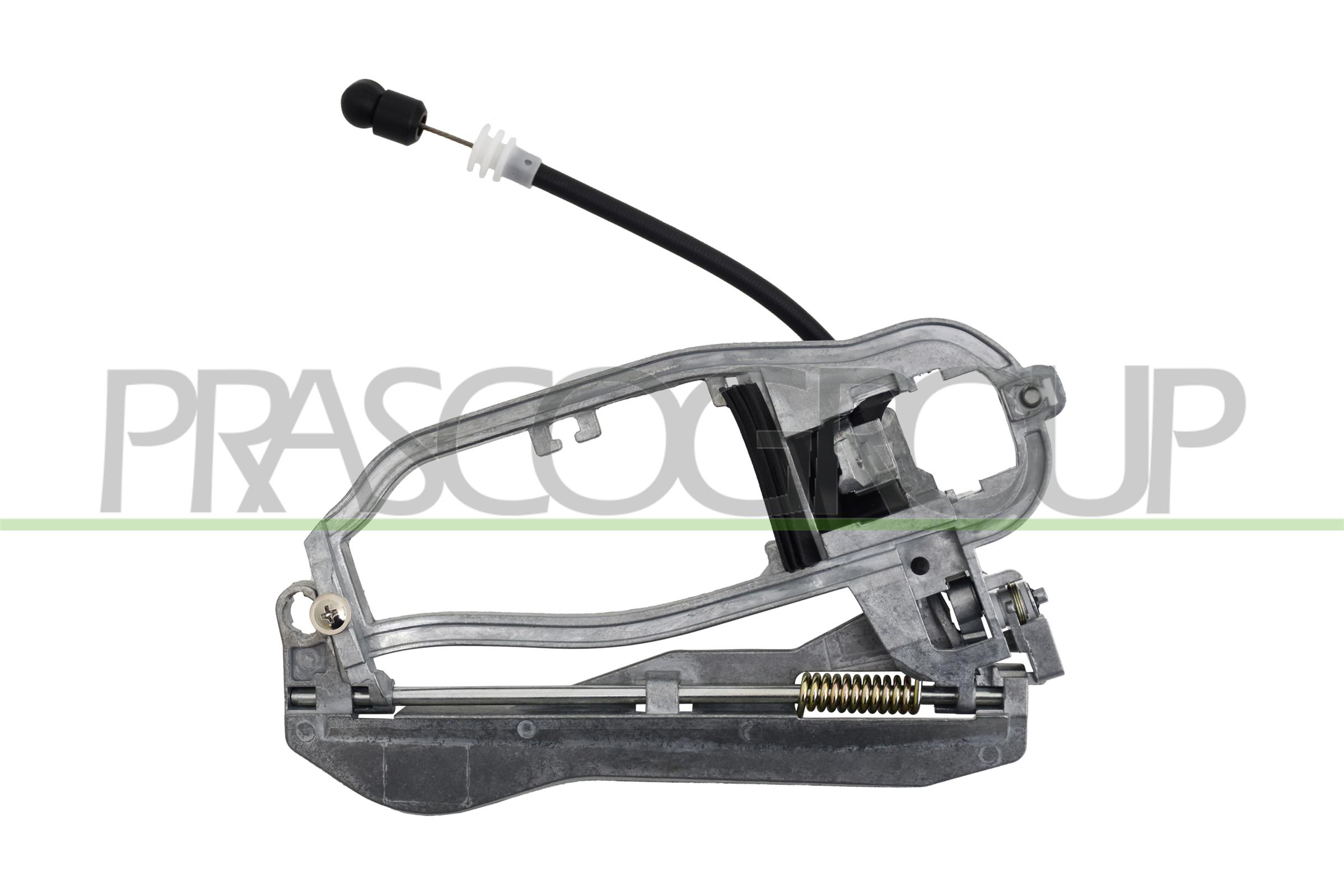 PRASCO Türgriffrahmen bm8208064 vorne links für BMW