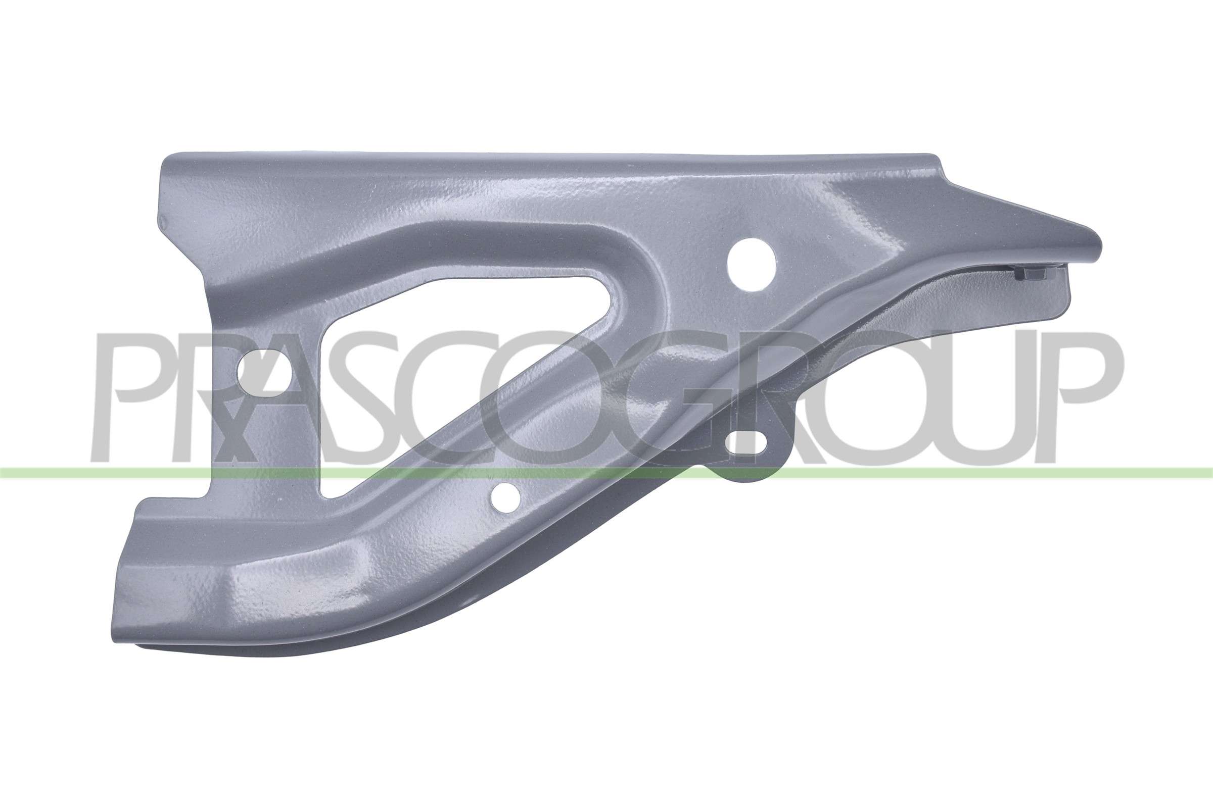 PRASCO Halter, Kotflügel ts6003017 vorne rechts