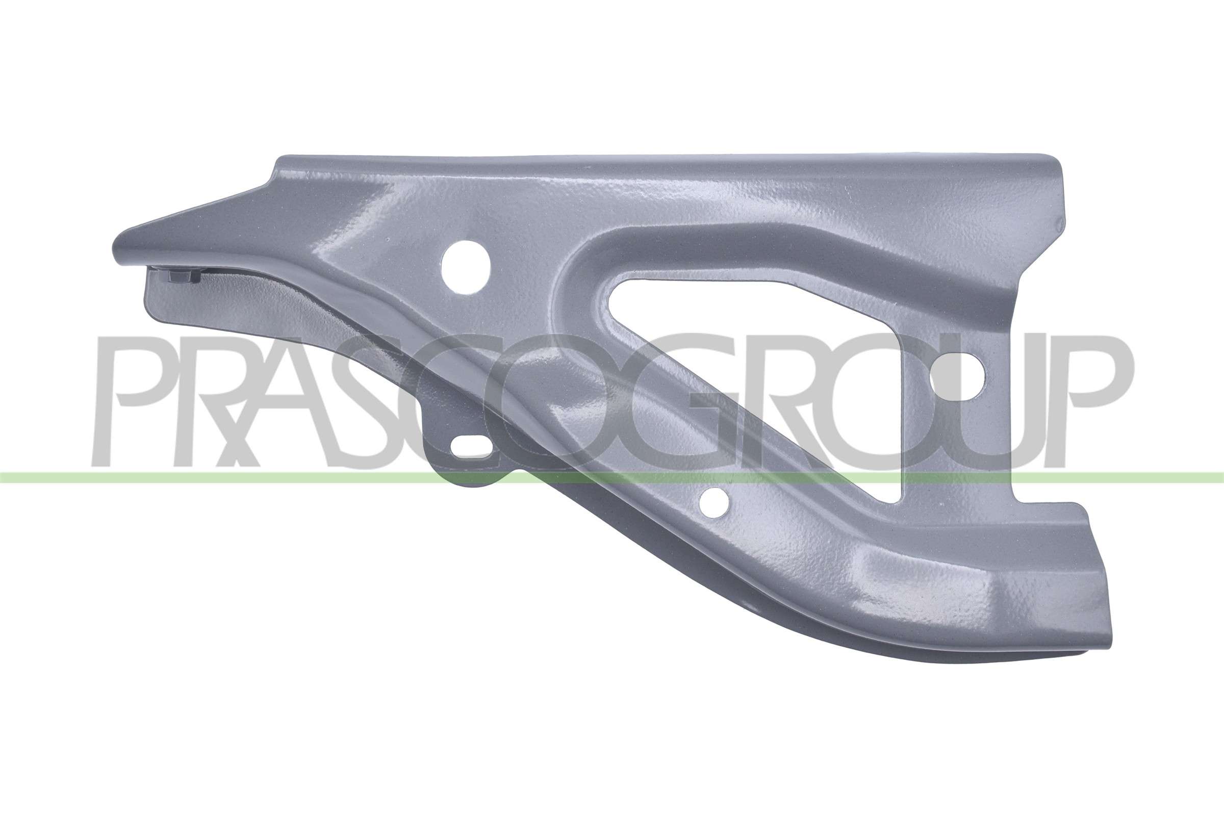 PRASCO Halter, Kotflügel ts6003018 vorne links