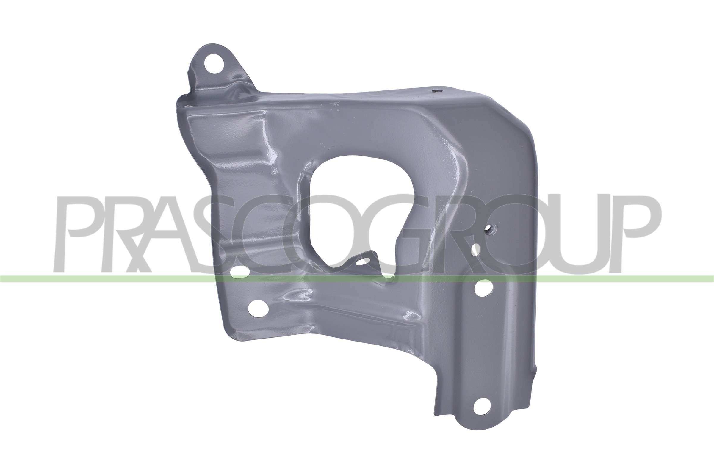 PRASCO Halter, Kotflügel ts6003058 hinten links
