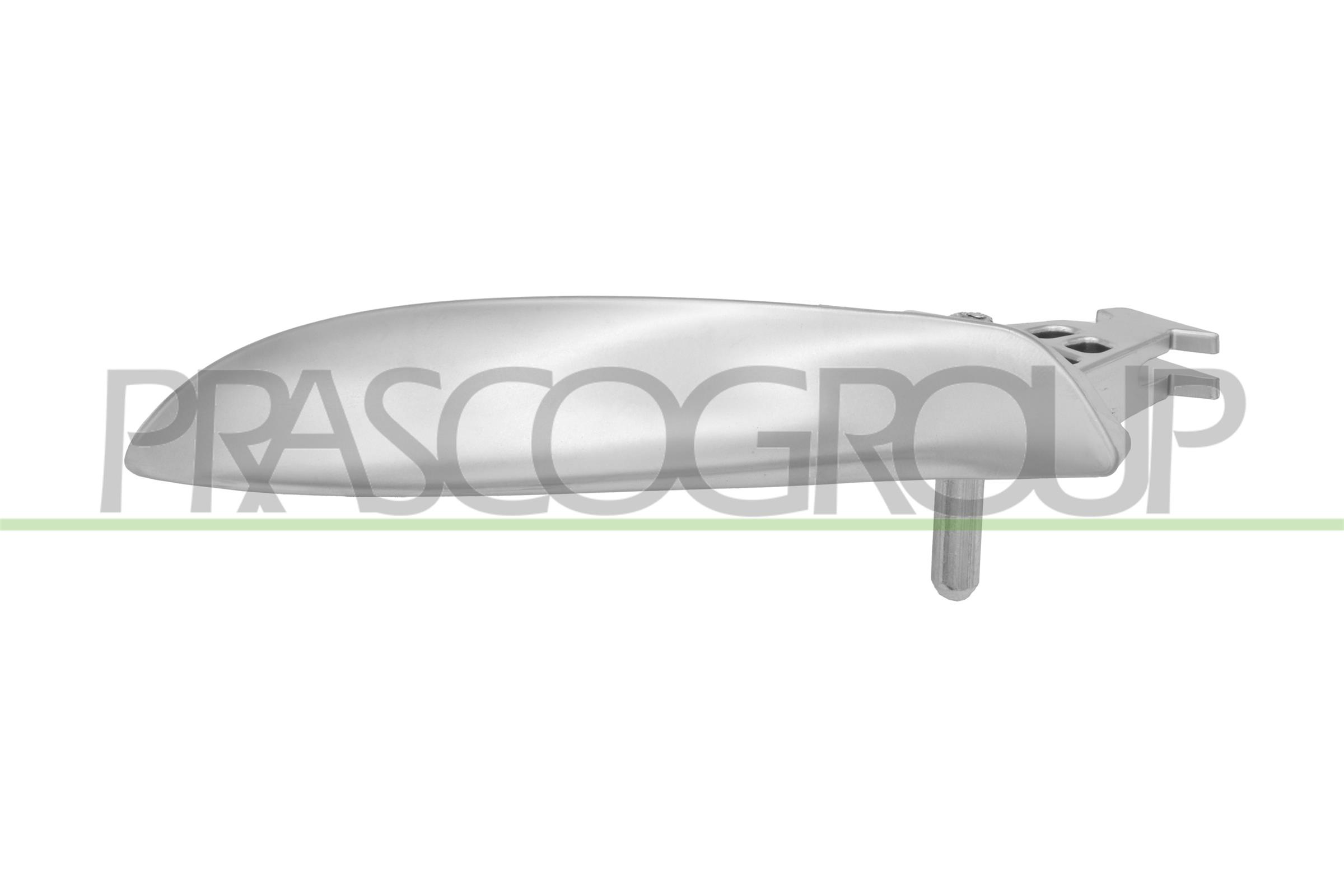 PRASCO Türgriff, Innenausstattung bm0488808 vorne links für BMW