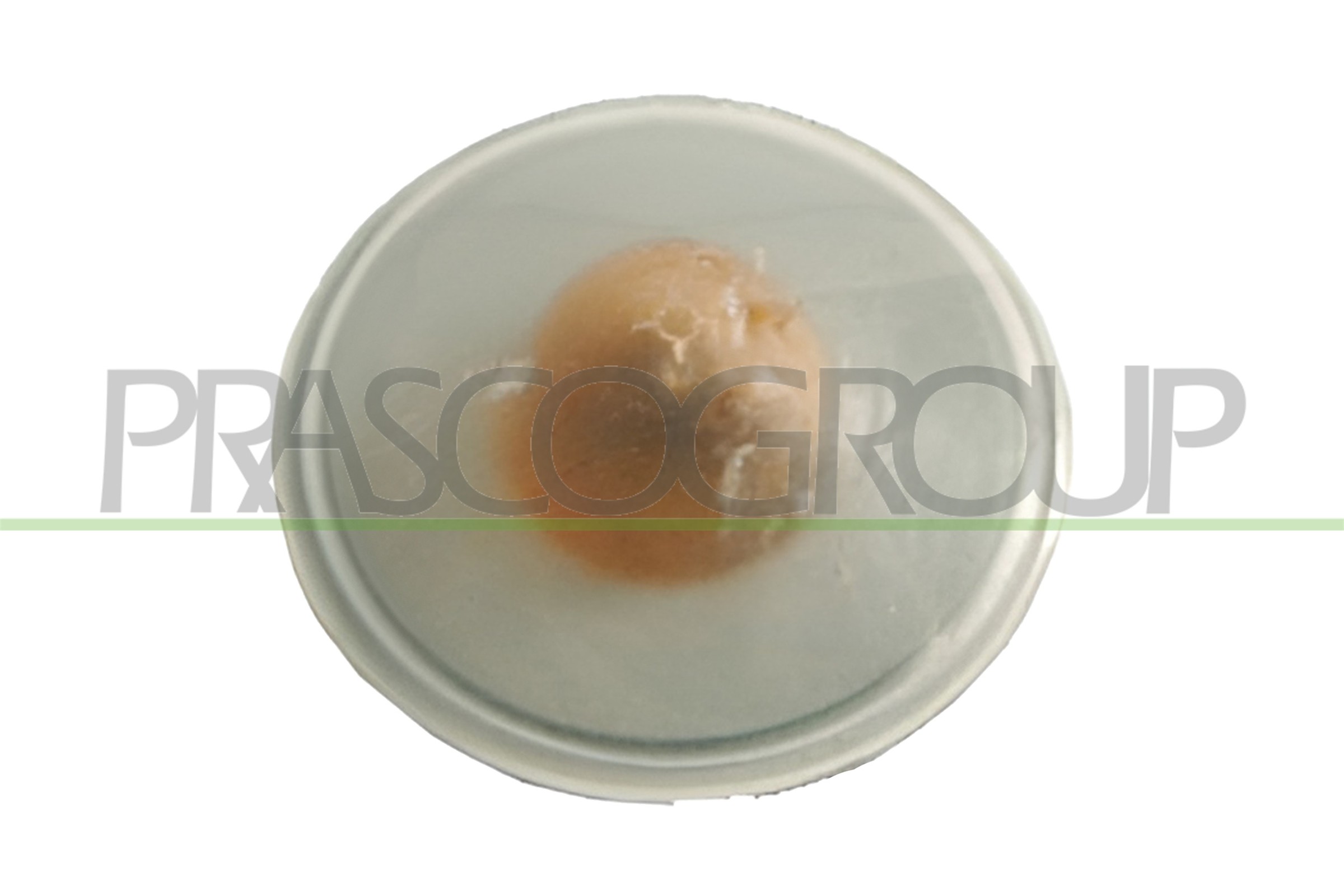 PRASCO Blinkleuchte ft1334139 seitlich für Fiat