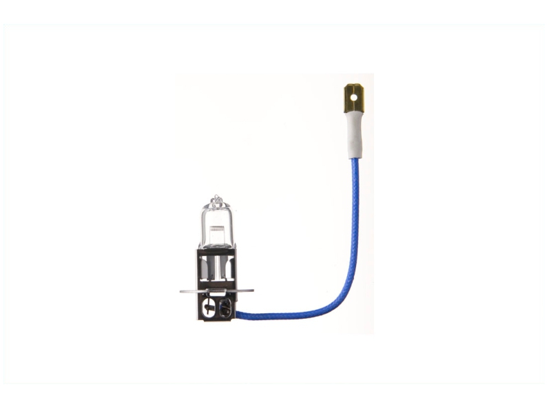 SPAHN GLÜHLAMPEN Glühlampe H3 55 Watt (1 Stk.) 90103