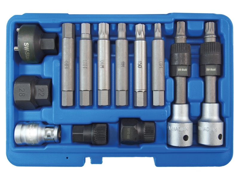 SWSTAHL Montagewerkzeugsatz, Generatorfreilauf Lichtmaschinen-Bitsatz 1/2 Zoll, 12-tlg. 05257l für VW SEAT Skoda