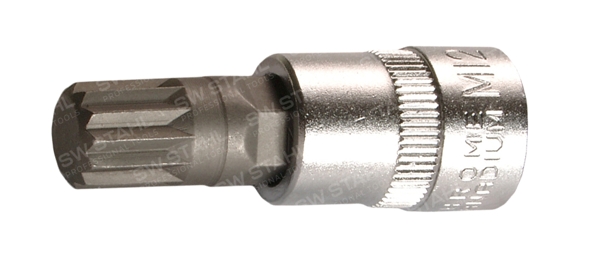 Swstahl Steckschlüsseleinsatz 06520-XZN12