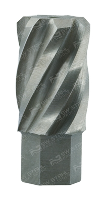 SWSTAHL Reibahle, ABS-Sensoraufnahme 10153l