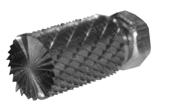SWSTAHL Reibahle, ABS-Sensoraufnahme 10156l