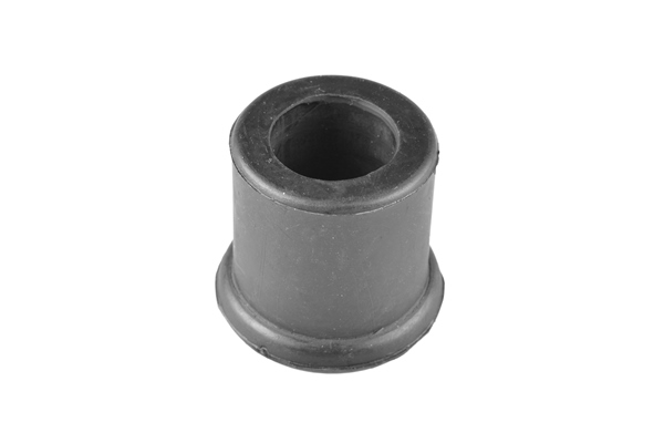 TEDGUM Lagerung, Blattfeder 00465620 Hinterachse beidseitig für NISSAN