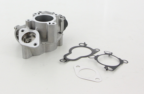 TRISCAN AGR-Ventil 881314025 für NISSAN