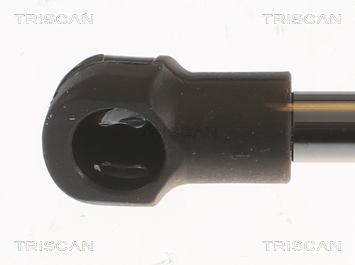 Triscan Gasfeder Hinten Renault Sc?Nic - Bild 4