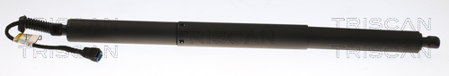 Triscan Gasfeder, Koffer-/Laderaum [Hersteller-Nr. 871011358] für BMW - Bild 4