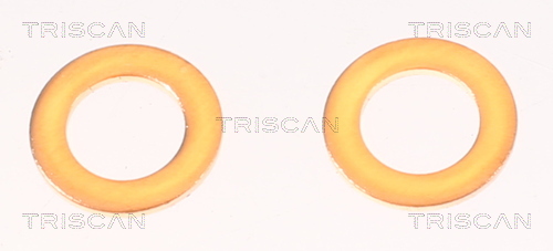 TRISCAN Bremsschlauch 815042287 für MITSUBISHI