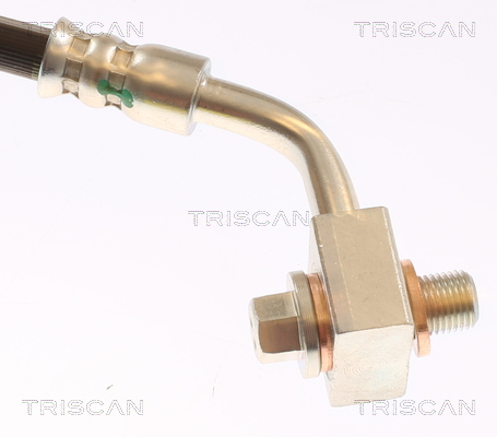 TRISCAN 815081207 Bremsschlauch für Tesla - Bild 5