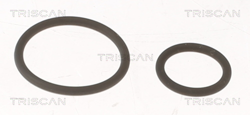 TRISCAN Dichtungssatz, Einspritzdüse 5961001 für Citroën Fiat