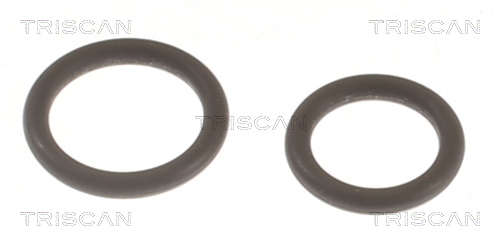 TRISCAN Dichtungssatz, Einspritzdüse 5961002 für NISSAN RENAULT