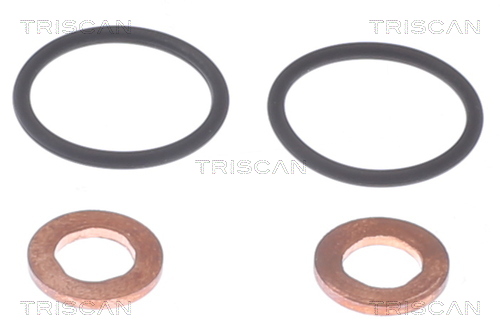 TRISCAN Dichtungssatz, Einspritzdüse 5961005 für SSANGYONG