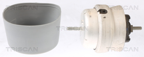 Triscan Lagerung, Motor [Hersteller-Nr. 850529108] für Audi - Bild 5