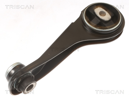 TRISCAN 850525125 Lagerung für Motor Motorlager Lagerung Motor für Renault - Bild 5