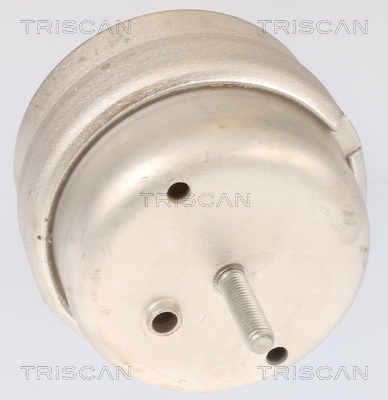 TRISCAN 850529105 Lagerung für Motor Motorlager Lagerung Motor - Bild 4