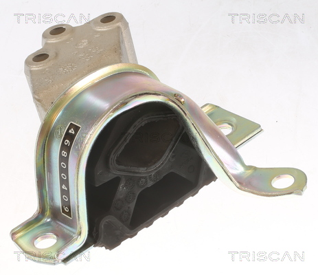 Lagerung Motor TRISCAN Aftermarket-Expertise passend für FIAT PANDA - Bild 5