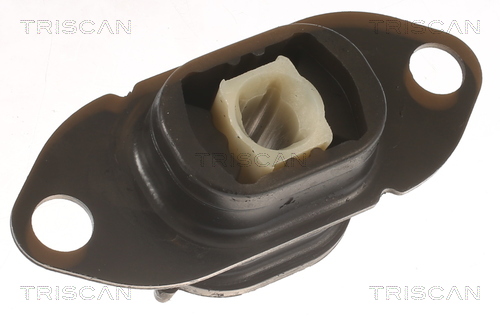 Lagerung Motor TRISCAN Aftermarket-Expertise passend für u.a. RENAULT TWINGO - Bild 5