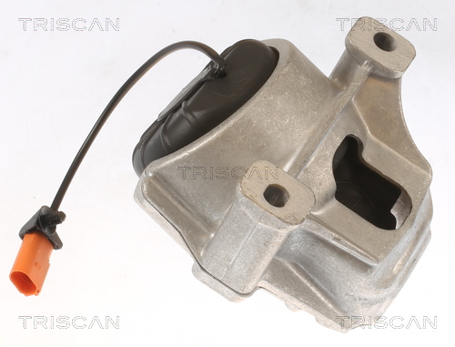 Lagerung Motor TRISCAN Aftermarket-Expertise passend für u.a. AUDI A4 - Bild 4