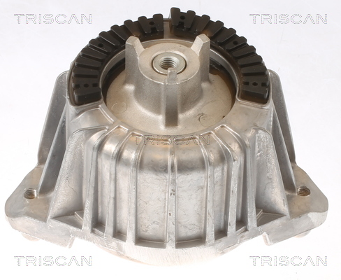 TRISCAN 850523101 Lagerung für Motor Motorlager Lagerung Motor - Bild 5