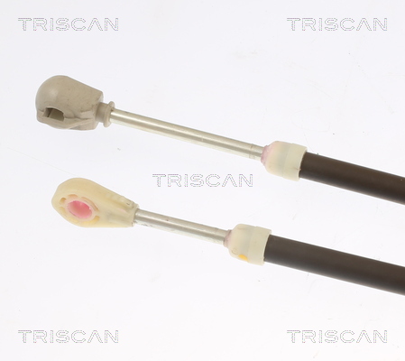 TRISCAN Seilzug, Schaltgetriebe 814028739 für Citroën Peugeot