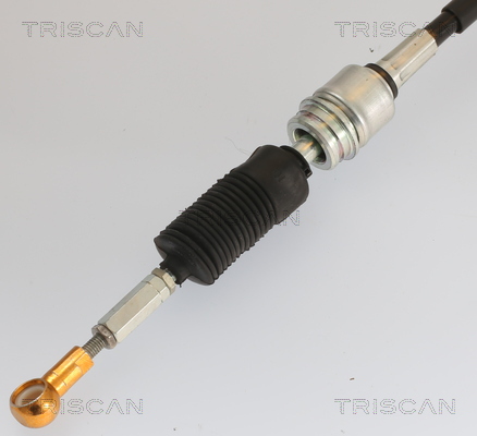TRISCAN Seilzug, Automatikgetriebe 814029722 für VW