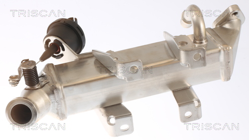 TRISCAN Kühler, Abgasrückführung 881325103 für RENAULT