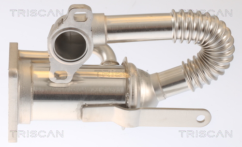 TRISCAN Kühler, Abgasrückführung 881325105 für DACIA