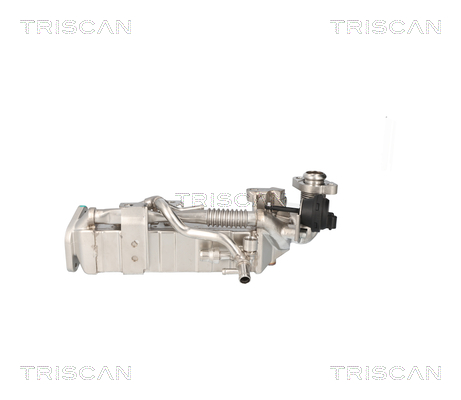 TRISCAN Kühler, Abgasrückführung 881311024 für BMW