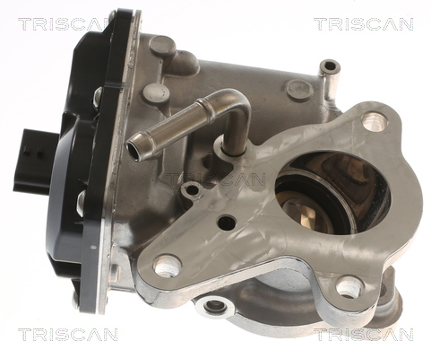 TRISCAN AGR-Ventil 881310116 für Opel Vaughall Mercedes NISSAN RENAULT