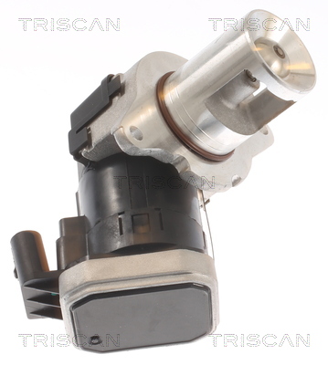 TRISCAN AGR-Ventil 881323021 für Mercedes