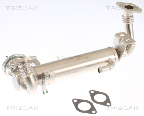 TRISCAN AGR-Ventil 881315074 für Iveco