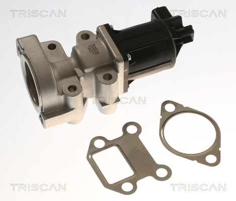 TRISCAN AGR-Ventil 881324018 für Opel CHEVROLET