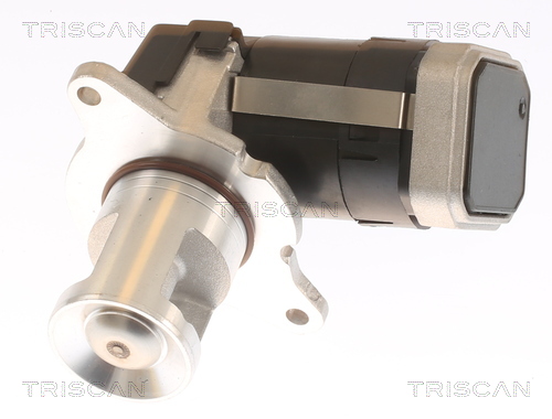 TRISCAN AGR-Ventil 881323036 für Mercedes