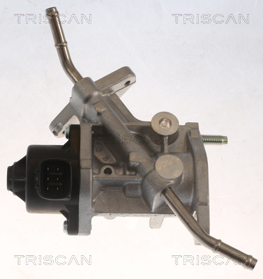 TRISCAN AGR-Ventil 881313068 für TOYOTA