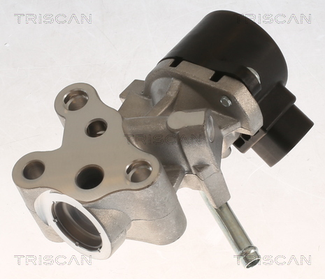 TRISCAN AGR-Ventil 881313069 für Citroën TOYOTA