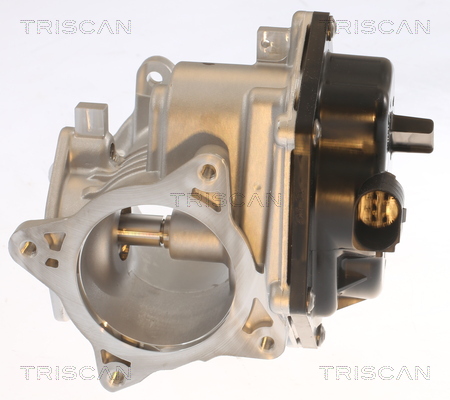 TRISCAN AGR-Ventil 881329348 für VW