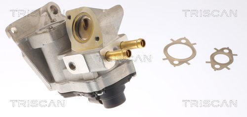 TRISCAN AGR-Ventil 881342002 für MITSUBISHI