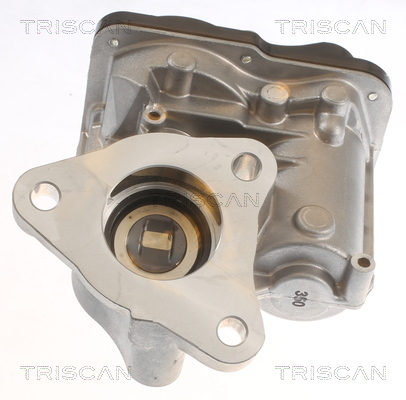 TRISCAN AGR-Ventil 881310055 für Mercedes DACIA