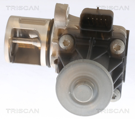 TRISCAN AGR-Ventil 881310053 für Ford Volvo Peugeot